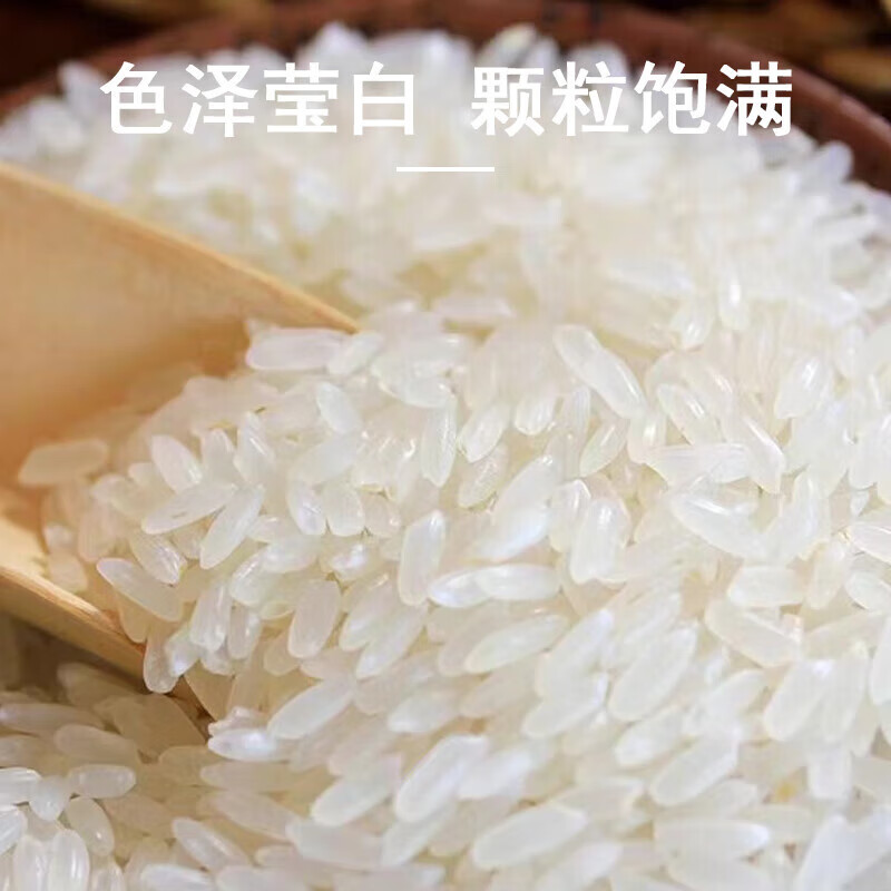 东北长粒香米 500g真空*1袋买一送一，5包邮插图2