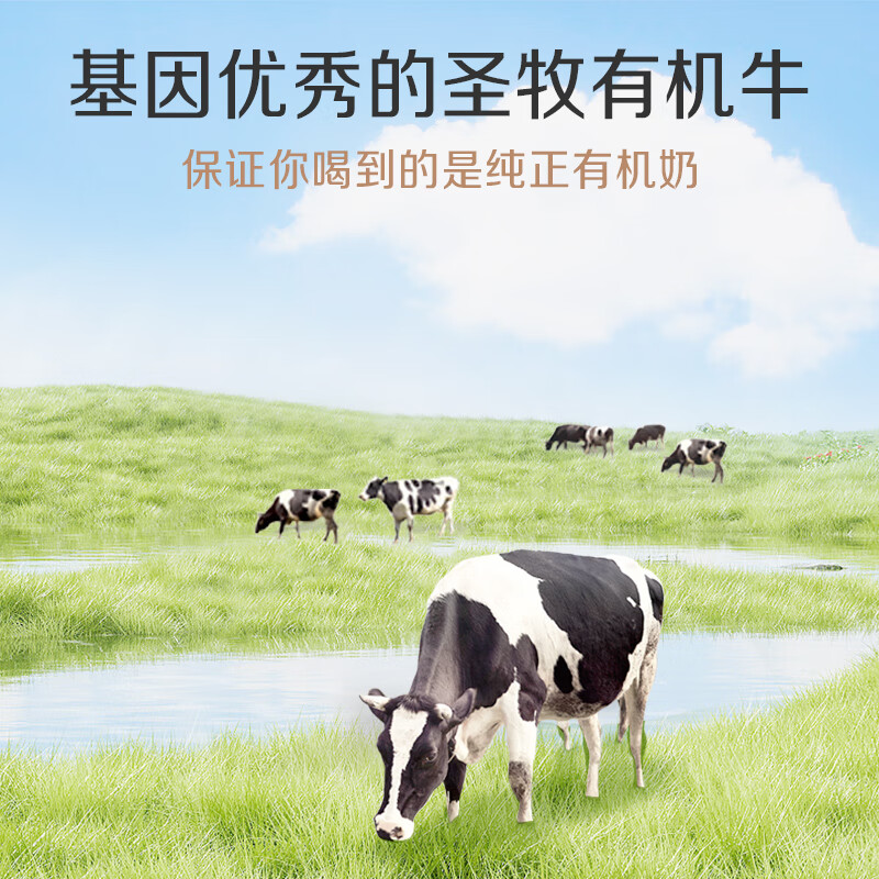 2 先领200-81元补贴券：【自营】圣牧有机纯牛奶 品醇200ml*24盒拍2件到手99元包邮，有机追溯 家庭早餐 专注插图