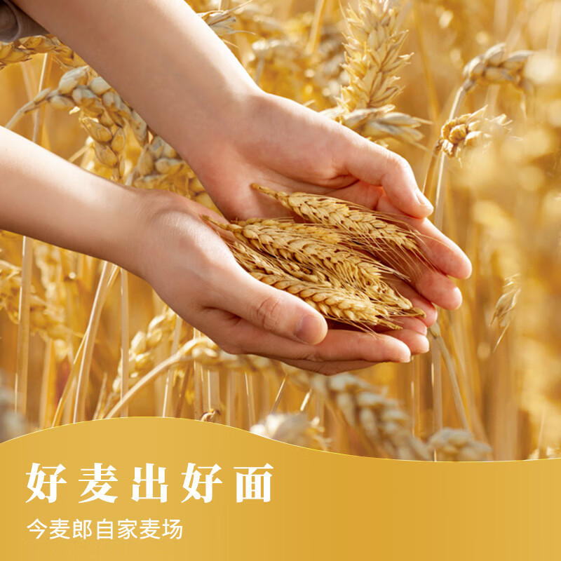 今麦郎 弹面红烧牛肉面  110g*12桶百补下单，p付35.91亓，自营包邮*爽口弹牙 口口劲道 寻味自家麦场插图1